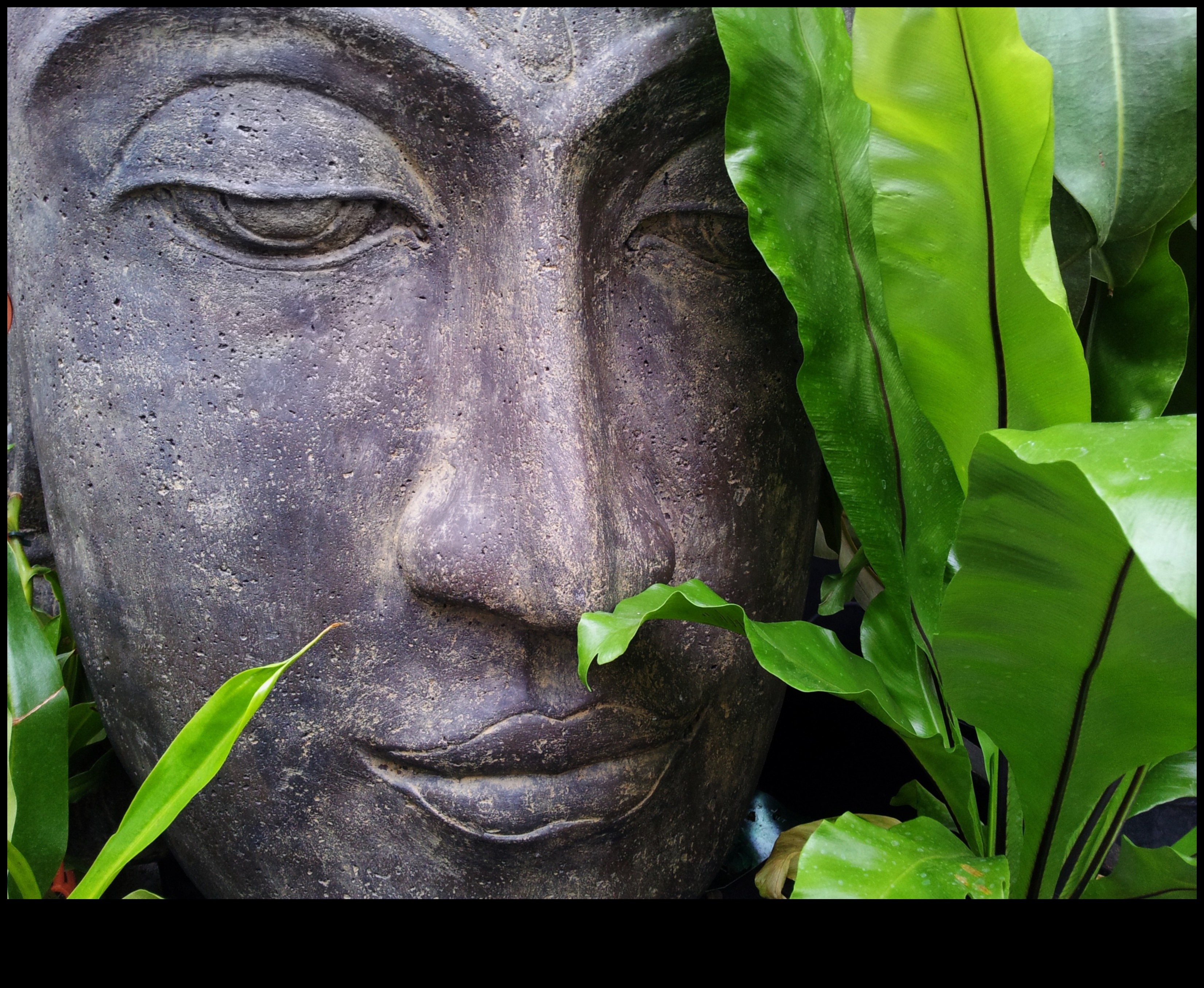 שלווה מפוסלת: נסיגות עשה זאת בעצמך שלווה לגנים