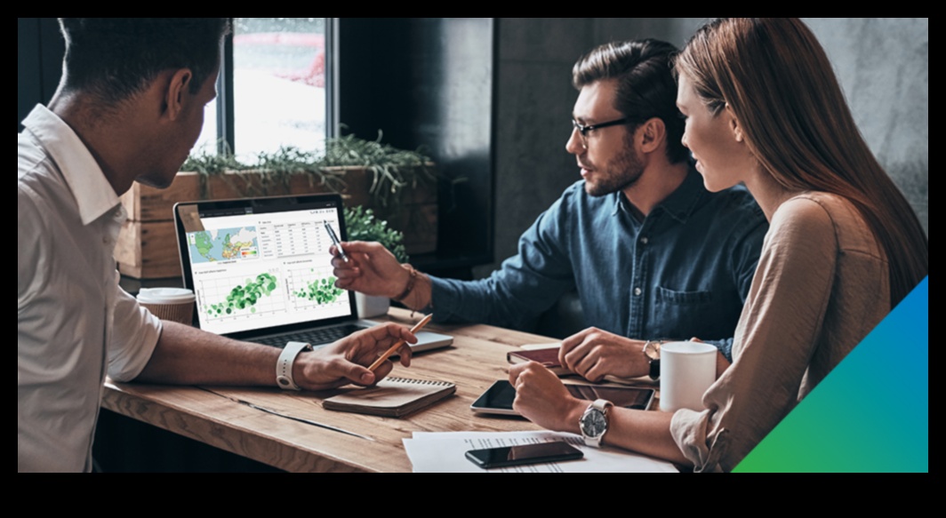 Pixel Perfect: השגת דיוק בפתרונות ביג דאטה אנליטיים