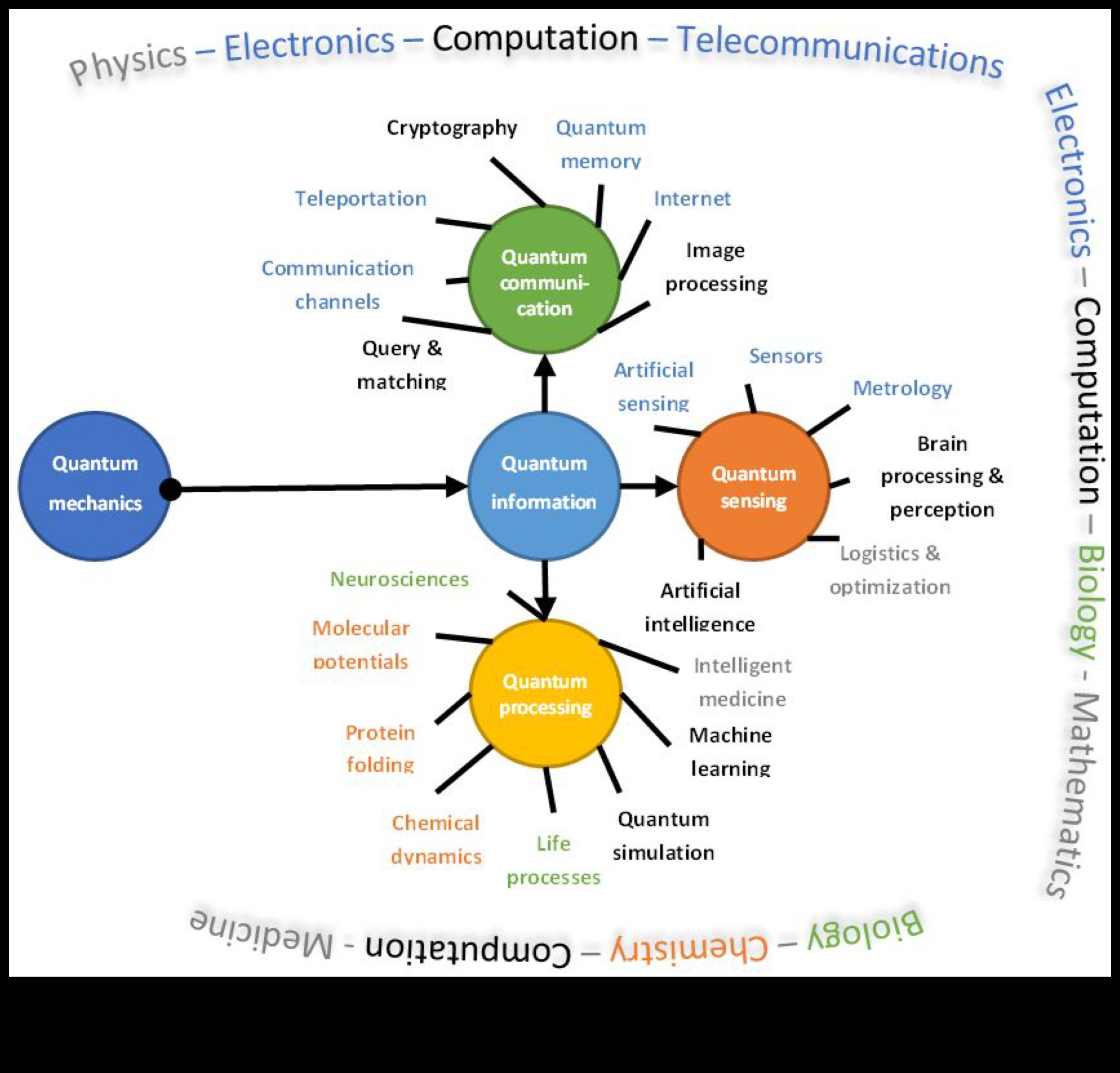 טבילה קוונטית: עיצוב אפשרויות בתחום ממוקד המשתמש של מורכבות חישובית