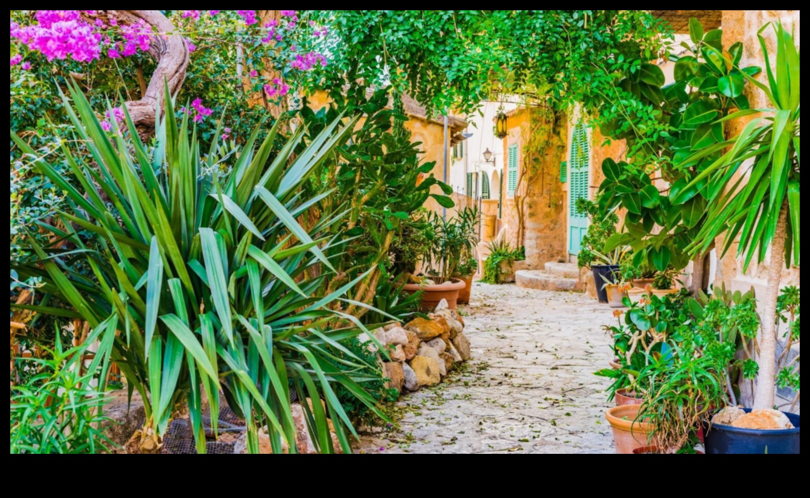 קסם בכל עלה כותרת: הרם את הגינה שלך עם כשרון אמנותי