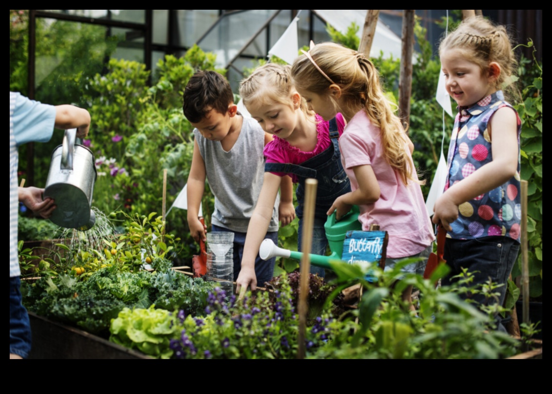 טיפוח מתנות הטבע: המהות של גינון אורגני