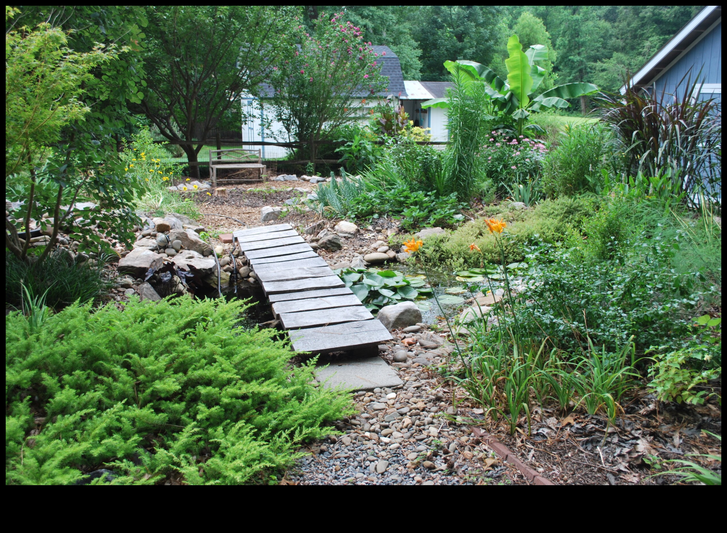 הרמוניה בגינה: לטפח יופי עם תחזוקת גינה מומחה