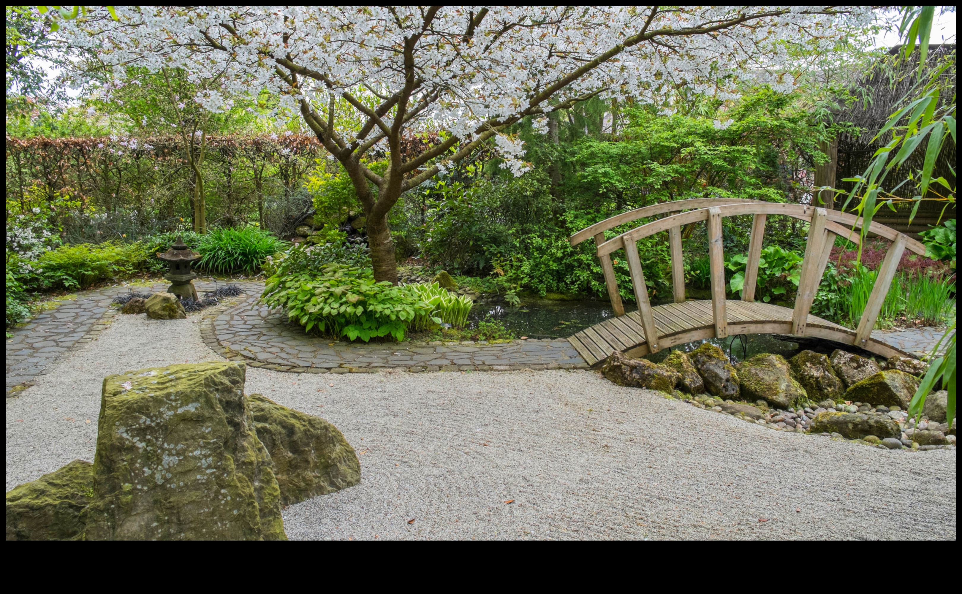 בריזות במבוק: סודות הגינון היפני