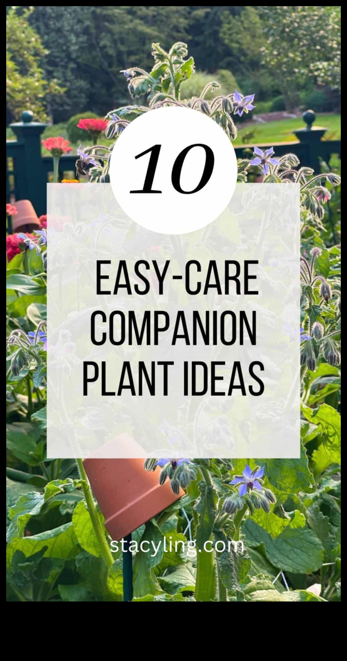 שלמות שותפה: שליטה בשתילה נלווית בניווט