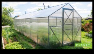 Green Marvels: הרם את הגינה שלך עם ציוד מהשורה הראשונה