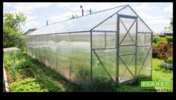 Green Marvels: הרם את הגינה שלך עם ציוד מהשורה הראשונה