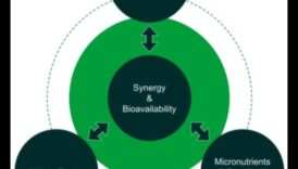 הקשר התזונתי: חיבור בריאות עם ייעוץ תזונה מומחה