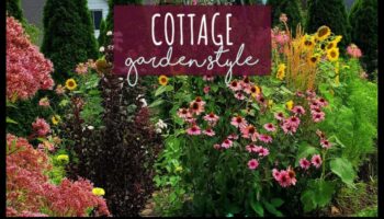 אואזיס מוזר: חללים משנים עם פריחת קוטג' נעימה