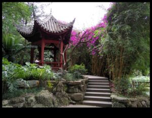 בריזות במבוק: סודות הגינון היפני