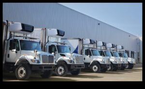 Freight Frontiers: משאיות ומהפכת הלוגיסטיקה המודרנית