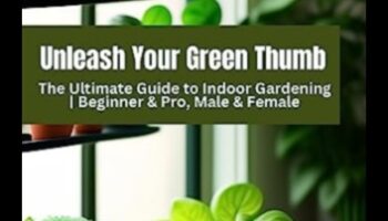 גינה בתוך הבית: טיפים פשוטים לצמחייה מקורה מוצלחת