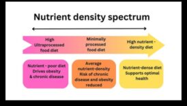 הספקטרום התזונתי: חקר מעמקי הערך התזונתי