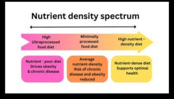הספקטרום התזונתי: חקר מעמקי הערך התזונתי