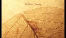 טיפוח מתנות הטבע: המהות של גינון אורגני