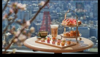 מסעות בזמן תה: להחדיר אלגנטיות בכל כוס עם טעמים אסייתיים