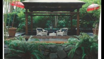 שלווה מפוסלת: נסיגות עשה זאת בעצמך שלווה לגנים