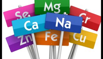 סימפוניית מינרלים: הרמוניה של בריאות באמצעות אלמנטים חיוניים