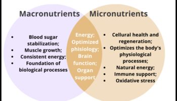 צלול לתוך תזונה: חקור את עולם המיקרו-נוטריינטים החיוניים