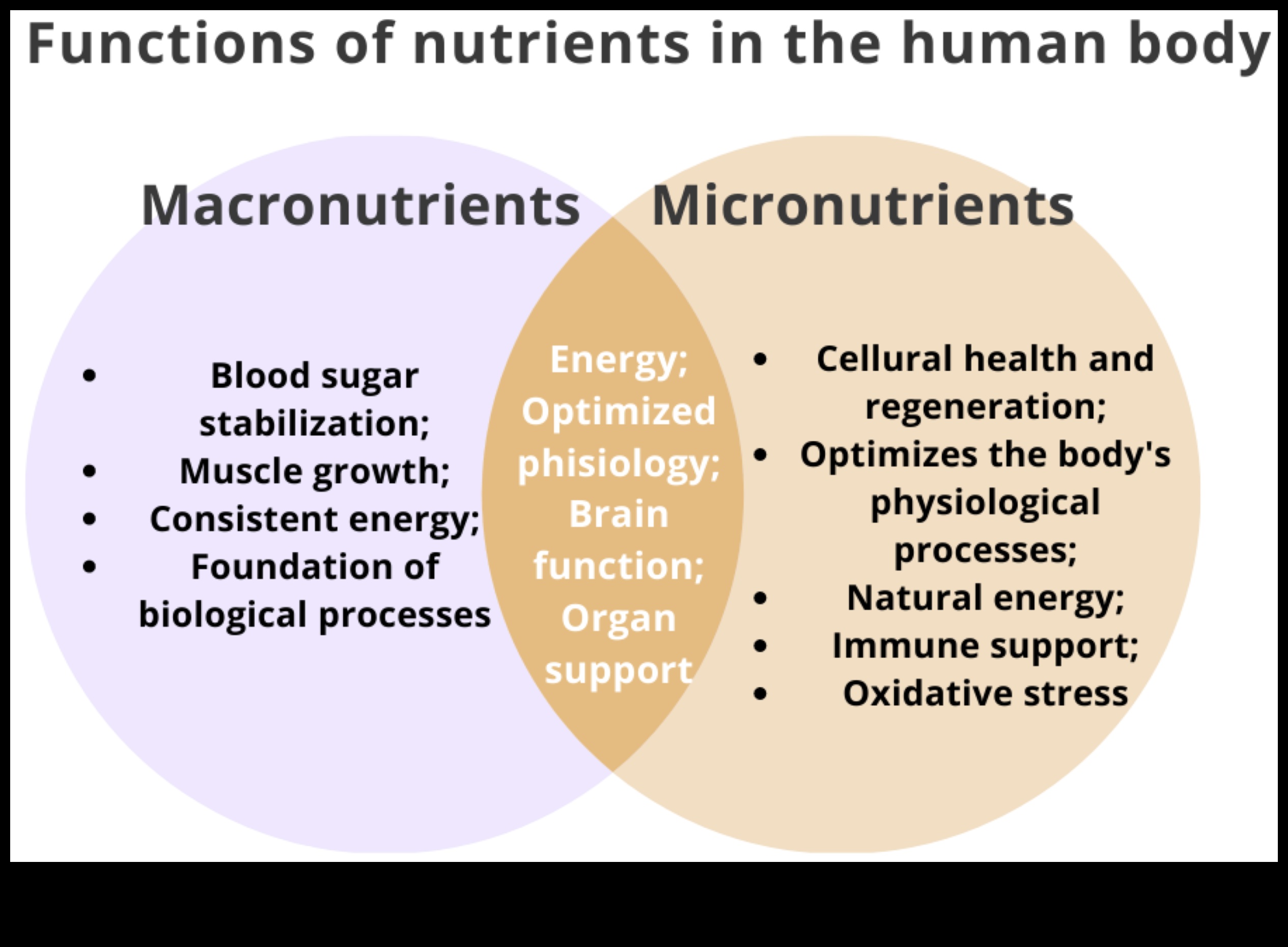 צלול לתוך תזונה: חקור את עולם המיקרו-נוטריינטים החיוניים
