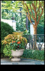 קסם בכל עלה כותרת: הרם את הגינה שלך עם כשרון אמנותי