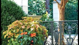 קסם בכל עלה כותרת: הרם את הגינה שלך עם כשרון אמנותי