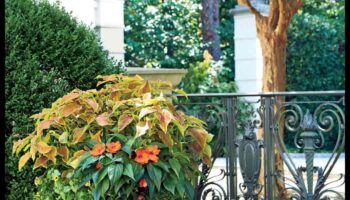 קסם בכל עלה כותרת: הרם את הגינה שלך עם כשרון אמנותי