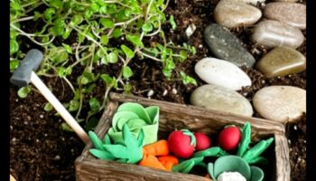 קציר של אושר: פרויקטי עשה זאת בעצמך לגן שופע