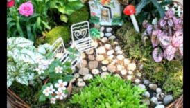 שיקויים פרחוניים: יצירת גנים קסומים עם מיכלים